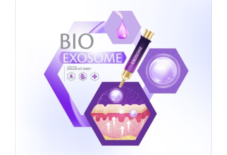 Exosome: de behandeling van de toekomst?